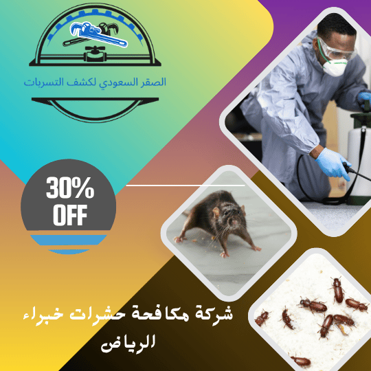 شركة مكافحة الحشرات خبراء الرياض