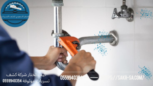 شركة كشف تسربات موثوقة